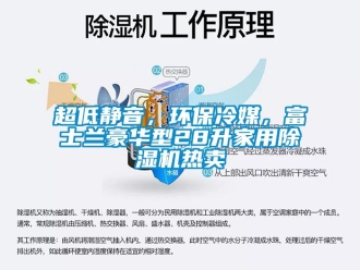 常見問題超低靜音，環保冷媒，富士蘭豪華型28升家用除濕機熱賣
