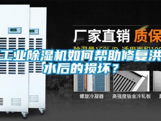 常見問題工業除濕機如何幫助修復洪水后的損壞？