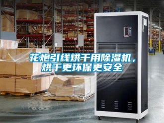 行業新聞花炮引線烘干用除濕機，烘干更環保更安全
