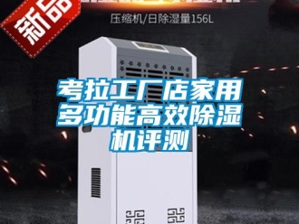 行業新聞考拉工廠店家用多功能高效除濕機評測