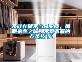 企業新聞茶葉存儲不當易變質，梅雨來臨之際，不得不看的存茶技巧！