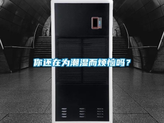 常見問題你還在為潮濕而煩惱嗎？