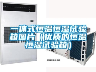 知識百科一體式恒溫恒濕試驗箱圖片（優質的恒溫恒濕試驗箱）