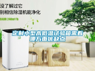 常見問題定制小型高低溫試驗箱需看哪方面優缺點