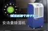 抽濕機哪個牌子好？