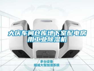 常見問題大慶車間倉庫地下室配電房用工業除濕機