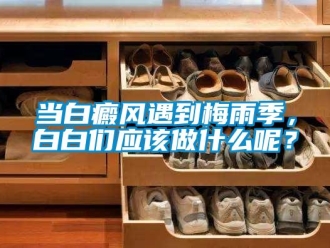 企業新聞當白癜風遇到梅雨季，白白們應該做什么呢？