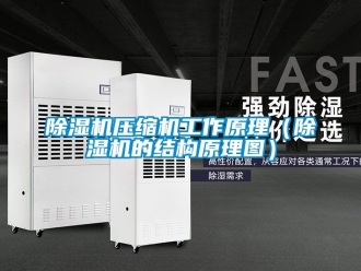 行業新聞除濕機壓縮機工作原理（除濕機的結構原理圖）