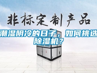 常見問題潮濕陰冷的日子，如何挑選除濕機？