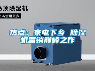 行業新聞熱點：家電下鄉 除濕機營銷巔峰之作
