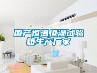 知識百科國產恒溫恒濕試驗箱生產廠家