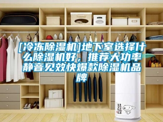 企業新聞[冷凍除濕機]地下室選擇什么除濕機好，推薦大功率靜音見效快爆款除濕機品牌