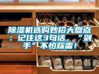 行業新聞除濕機選購妙招大盤點：記住這3句話，“剁手”不怕踩雷！