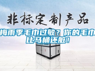 行業新聞梅雨季毛巾過敏？你的毛巾比馬桶還臟！
