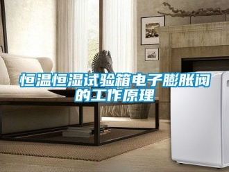 知識百科恒溫恒濕試驗箱電子膨脹閥的工作原理