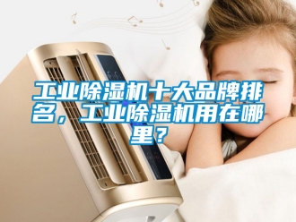 常見問題工業除濕機十大品牌排名，工業除濕機用在哪里？