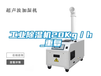 常見問題工業除濕機20Kg／h_重復
