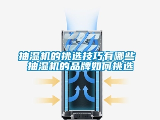 企業新聞抽濕機的挑選技巧有哪些 抽濕機的品牌如何挑選