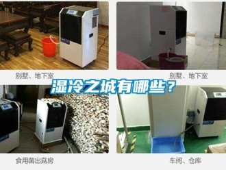 知識百科濕冷之城有哪些？