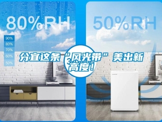 企業新聞分宜這條“風光帶”美出新高度！