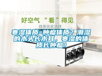 行業新聞寒濕體質=腫瘤體質？潮濕的木頭長木耳，寒濕的體質長腫瘤！