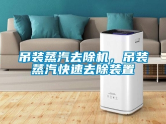 企業新聞吊裝蒸汽去除機，吊裝蒸汽快速去除裝置