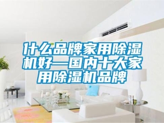 企業新聞什么品牌家用除濕機好—國內十大家用除濕機品牌