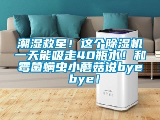 企業新聞潮濕救星！這個除濕機一天能吸走40瓶水！和霉菌螨蟲小蘑菇說bye bye！