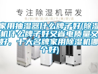 常見問題家用抽濕器什么牌子好(除濕機什么牌子好又省電質量又好，十大名牌家用除濕機哪個好)