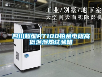 常見問題四川超細PT100鉑金電阻高低溫濕熱試驗箱