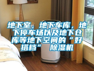 企業新聞地下室，地下車庫，地下停車場以及地下倉庫等地下空間的“好搭檔” 除濕機