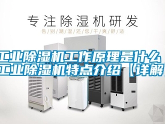 常見問題工業除濕機工作原理是什么 工業除濕機特點介紹【詳解】