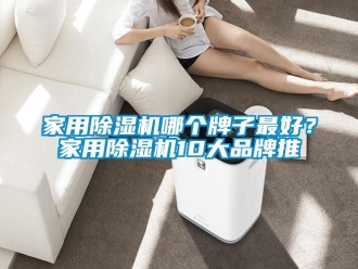 企業新聞家用除濕機哪個牌子最好？家用除濕機10大品牌推