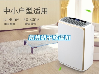 知識百科櫻桃烘干除濕機