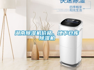 企業新聞湖南除濕機價格、地下倉庫除濕機