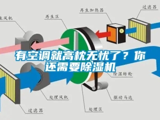 知識百科有空調就高枕無憂了？你還需要除濕機