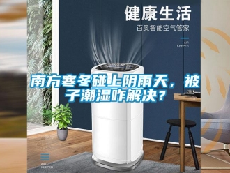 行業新聞南方寒冬碰上陰雨天，被子潮濕咋解決？