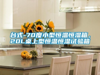 知識百科臺式-70度小型恒溫恒濕箱，20L桌上型恒溫恒濕試驗箱