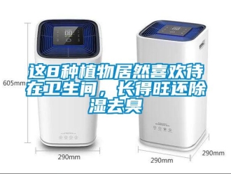 知識百科這8種植物居然喜歡待在衛生間，長得旺還除濕去臭