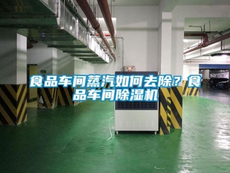 企業新聞食品車間蒸汽如何去除？食品車間除濕機