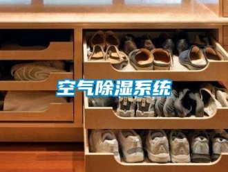 行業新聞空氣除濕系統