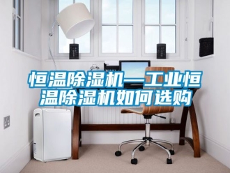 常見問題恒溫除濕機—工業恒溫除濕機如何選購