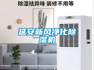 常見問題延安新風凈化除濕機