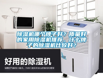 常見問題除濕機哪個牌子好？質量好的家用除濕機推薦，什么牌子的除濕機比較好？