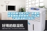 除濕機哪個牌子好？質量好的家用除濕機推薦，什么牌子的除濕機比較好？