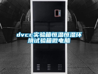 常見問題dvcc實驗箱恒溫恒濕環境試驗箱微電腦