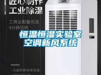 知識百科恒溫恒濕實驗室空調新風系統