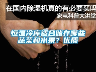知識百科恒溫冷庫適合儲存哪些蔬菜和水果？優質