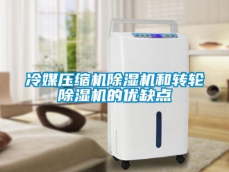 常見問題冷媒壓縮機除濕機和轉輪除濕機的優缺點