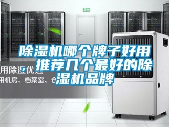 企業新聞除濕機哪個牌子好用，推薦幾個最好的除濕機品牌